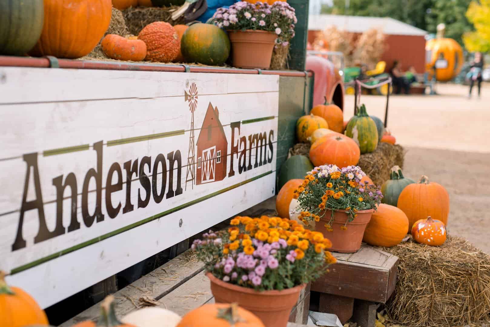 Anderson Farms sign surrounded by pumpkins and mums on hay bales in Erie, Colorado