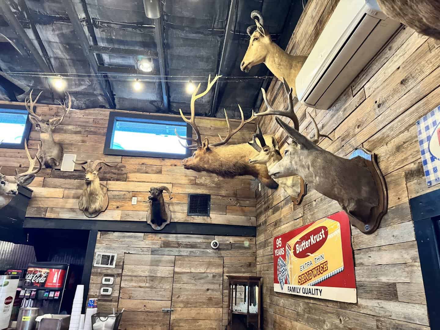 Wall of taxidermy mounts including elk and deer above the drink station at Richter's Antler Cafe in Spring Branch, Texas
