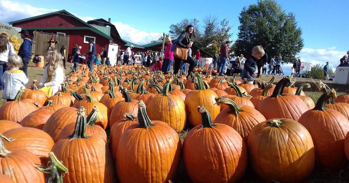 15 Apple Orchards Across the USA Worth a Fall Visit