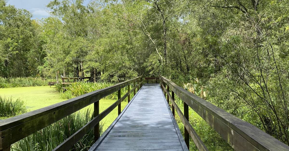 This Wild Texas Preserve Hides Bison, Bayous, and Alligators Right Next to Houston