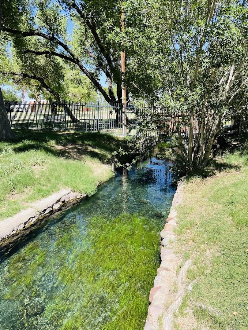 Green grounds and trees around the campsites at Balmorhea State Park, Texas