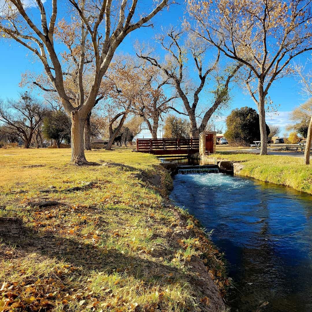Spring-fed canal running through Balmorhea State Park, Texas