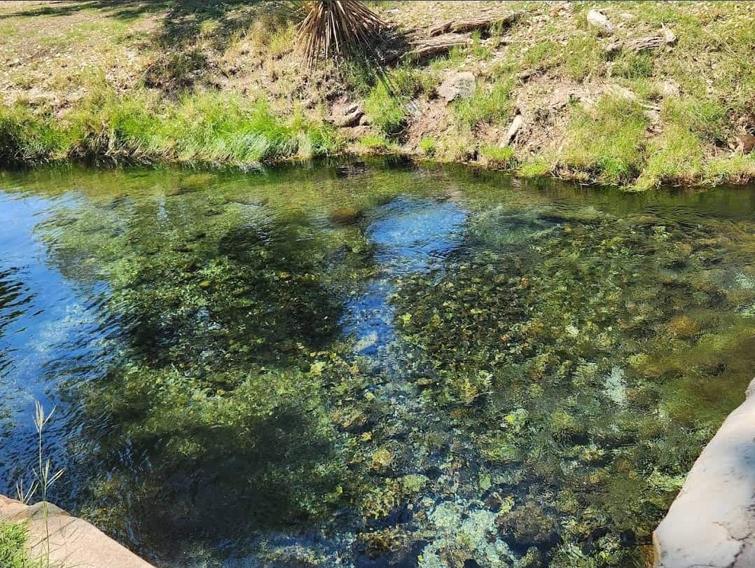 Clear spring-fed water flowing through Balmorhea State Park, Texas
