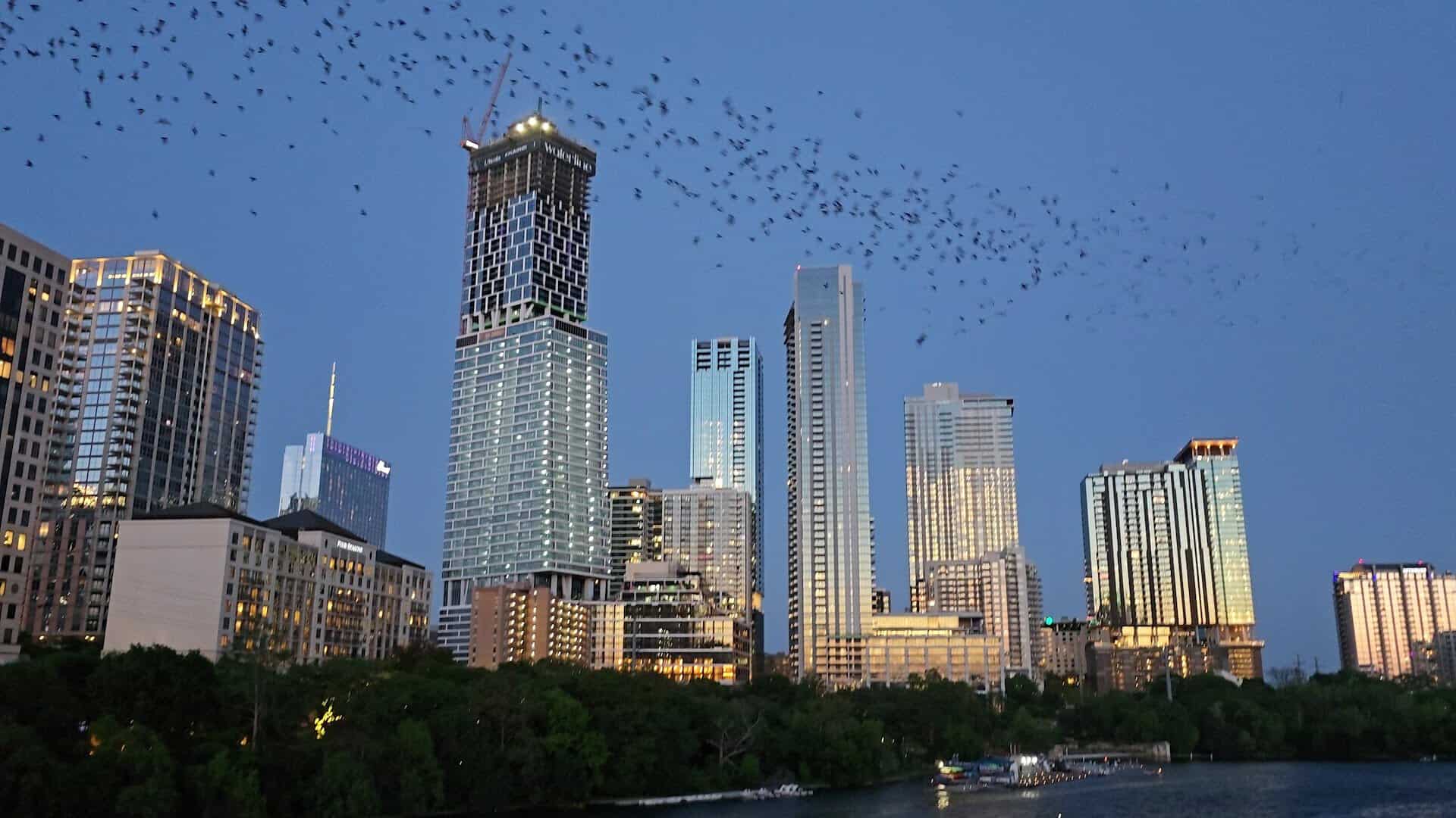 A dark column of bats crossing the Austin skyline at dusk