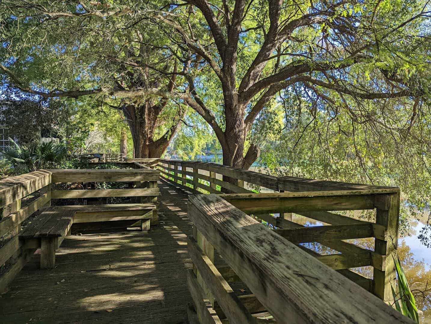 Boardwalk beneath moss draped live oaks along Bayou Teche in St. Martinville, Louisiana