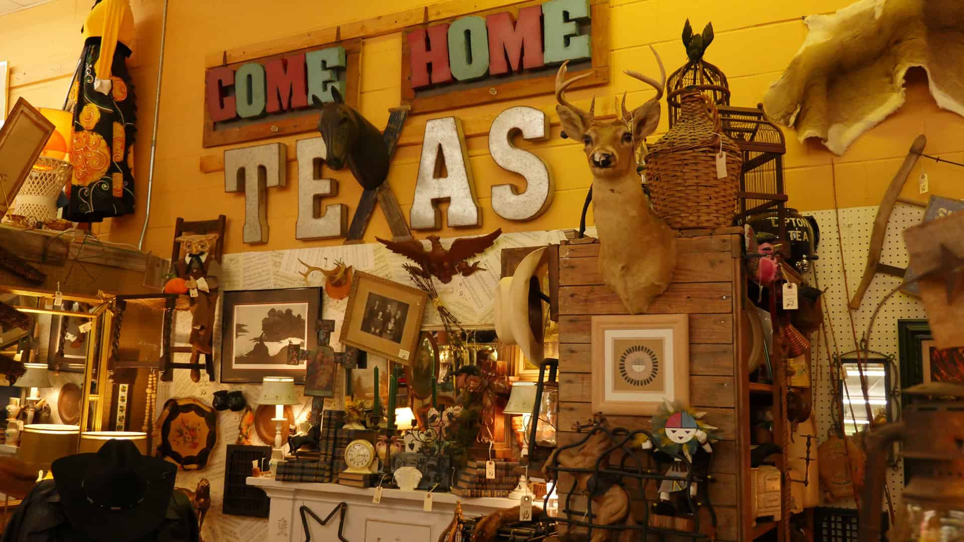 Come Home to Texas sign and longhorn decor at Benbrook Antique Mall in Benbrook, Texas