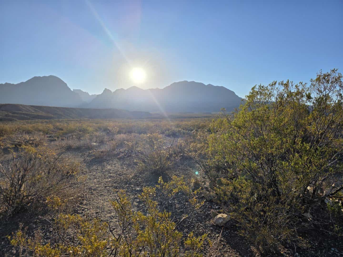 Sunrise over the desert mountains of Big Bend National Park near Santa Elena Canyon