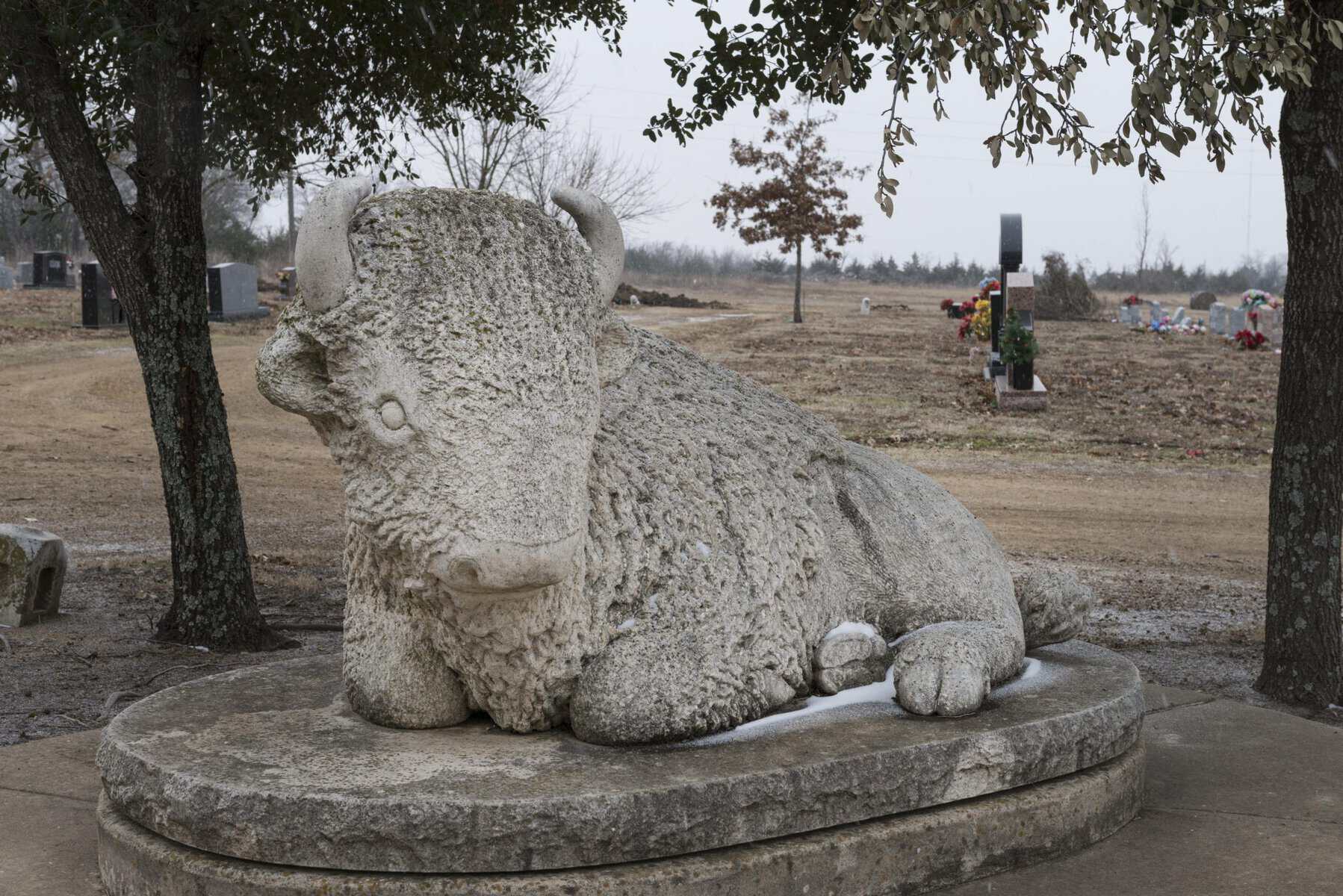 A stone bison grave marker in Evergreen Cemetery, Paris, Texas