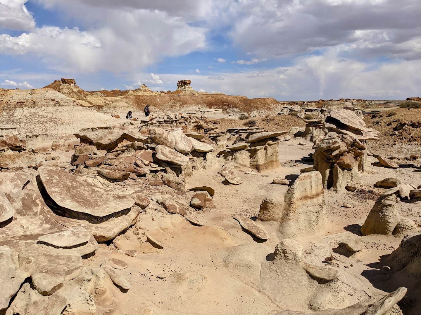 Otherworldly hoodoo rock formations in the Bisti Badlands, New Mexico