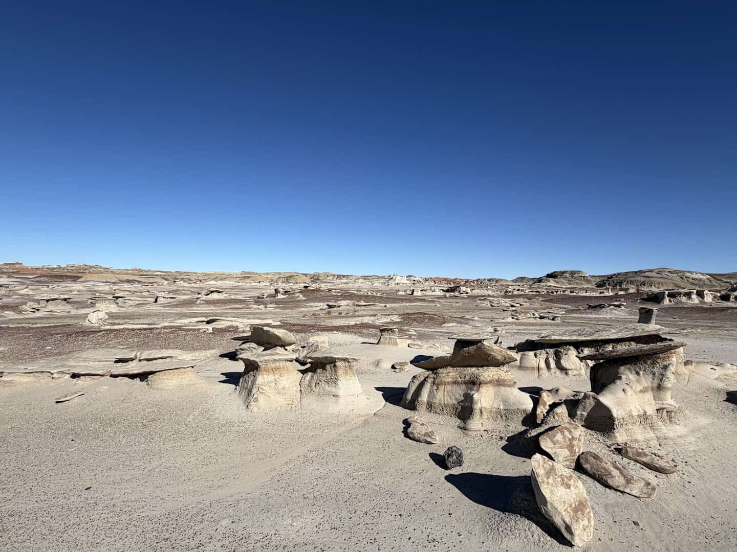 Eroded hoodoos across the Bisti De-Na-Zin Wilderness in New Mexico