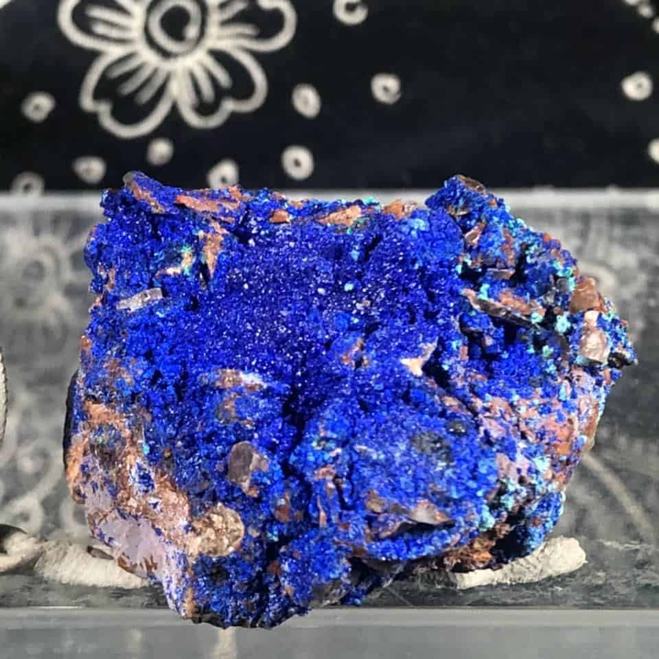 A striking blue azurite crystal specimen at Shiny Things For Shiny People in Austin
