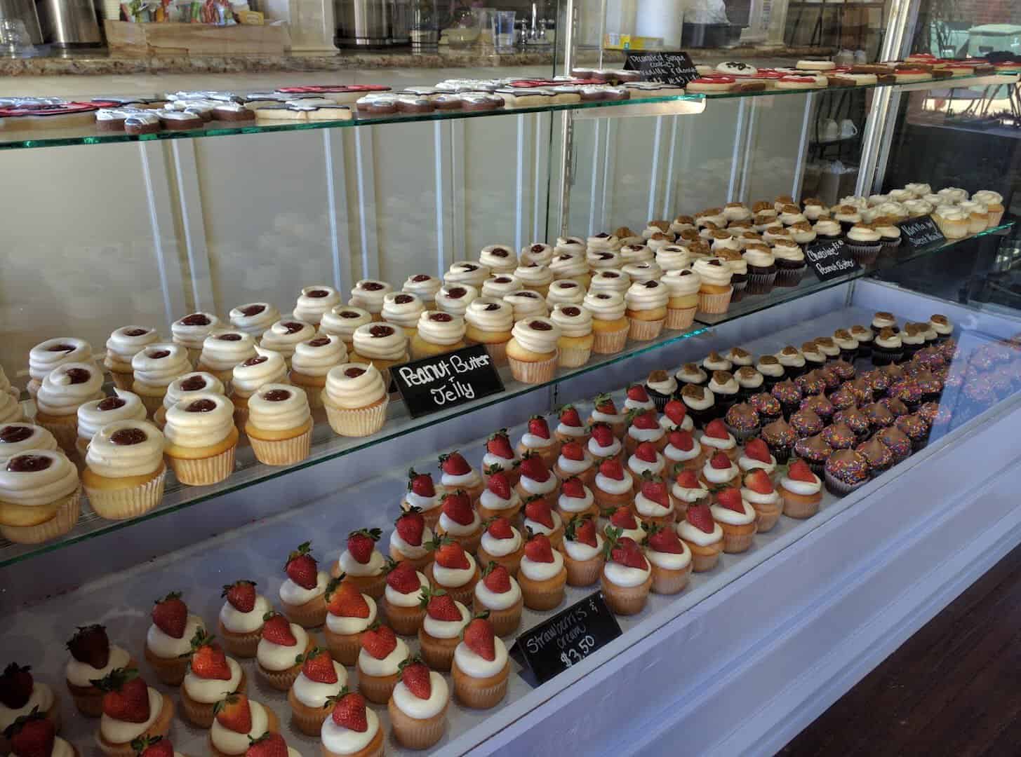 Rows of cupcakes in the display case at Blue Horse Bakery in Nacogdoches, Texas