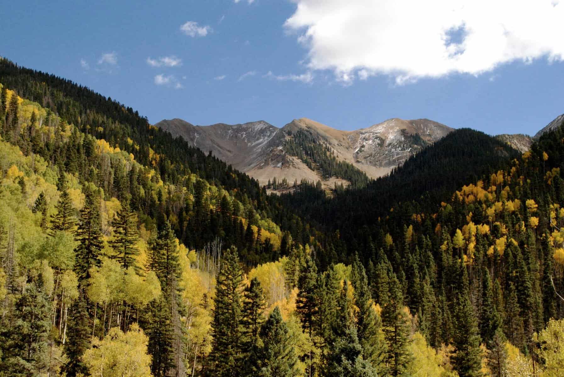 Autumn aspens in the mountains around Blue Lake Ranch near Durango, Colorado