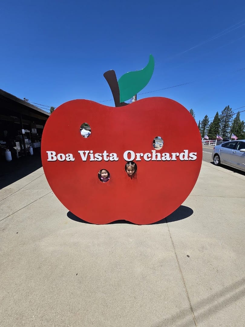 Giant apple-shaped sign at Boa Vista Orchards in Placerville, California