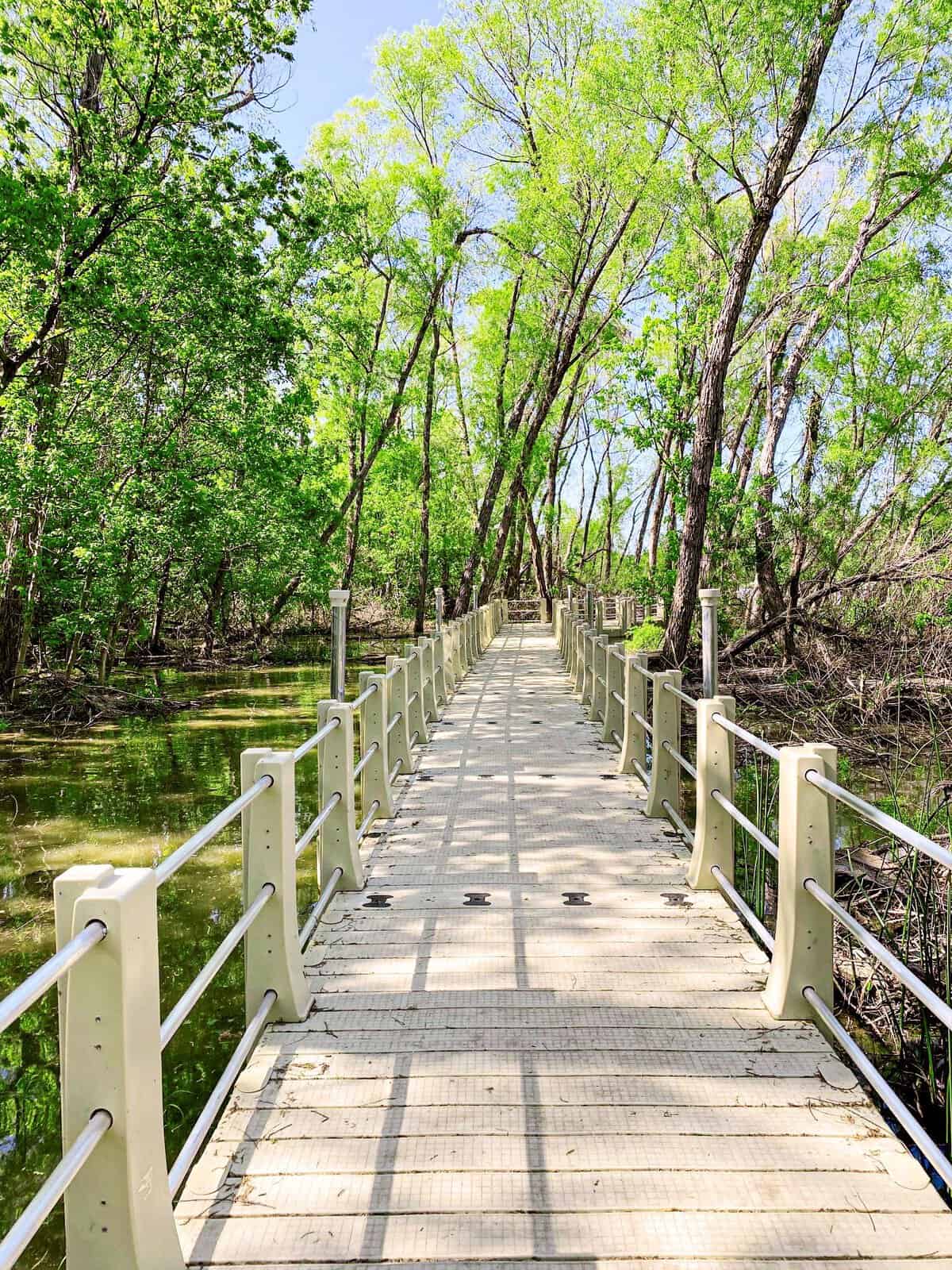 The boardwalk trail leading through a green tree canopy over the water at Lake Weatherford, Weatherford Texas