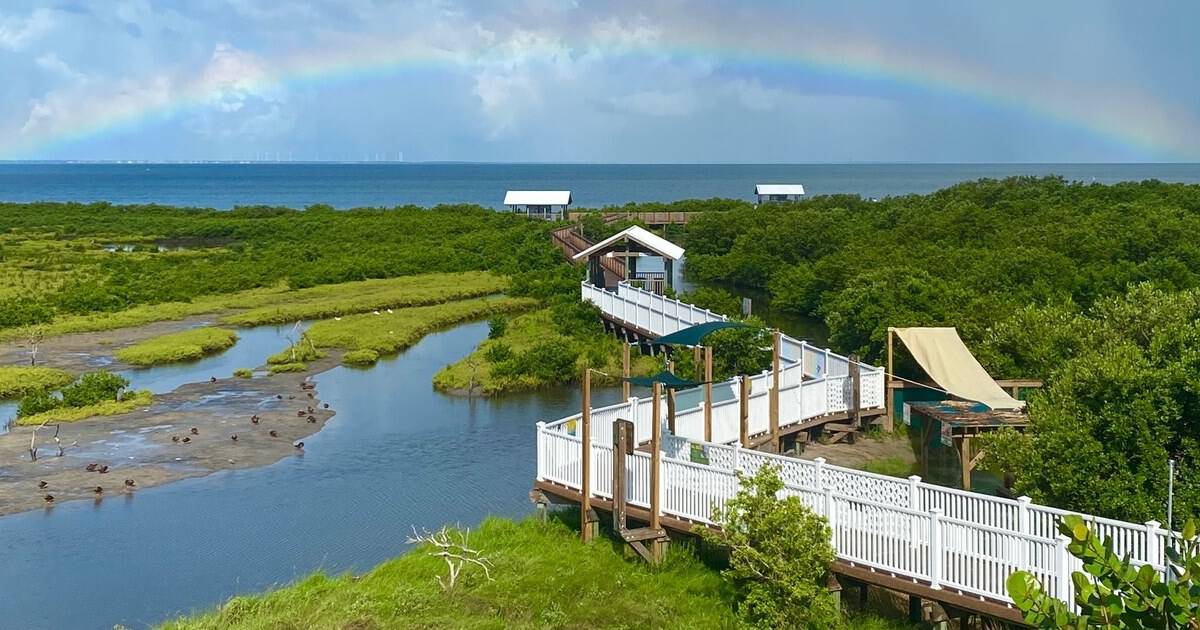 This Wild Texas Coastal Preserve Puts a Boardwalk Over the Marsh and 300 Birds at Eye Level
