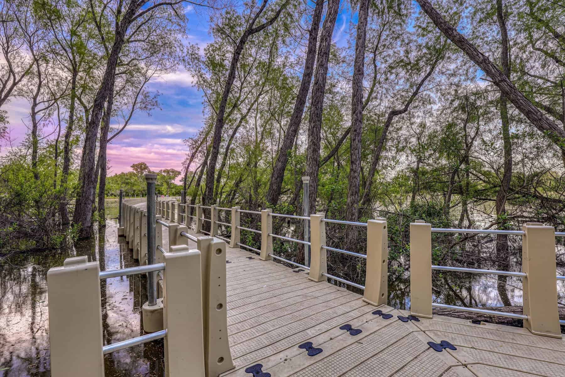 The floating boardwalk winding through flooded trees at dusk, Lake Weatherford, Weatherford Texas