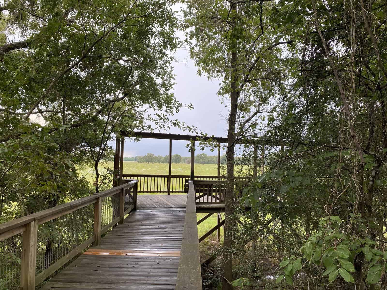 Wooden boardwalk descending through forest toward open marsh at Armand Bayou Nature Center in Pasadena, Texas
