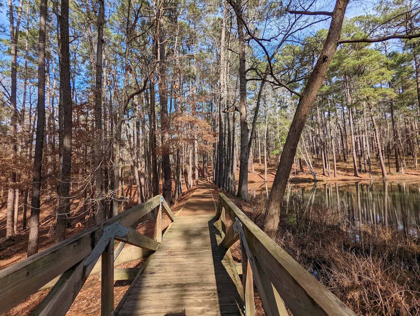 Boardwalk trail over water among the pines at Mission Tejas State Park