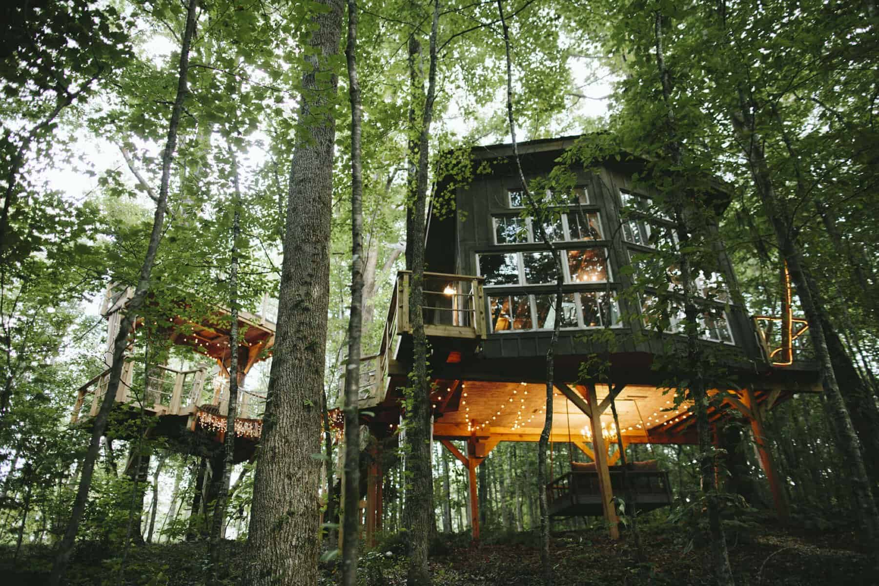 Glass treehouse cabin among fall trees at Bolt Farm Treehouse in Whitwell, Tennessee