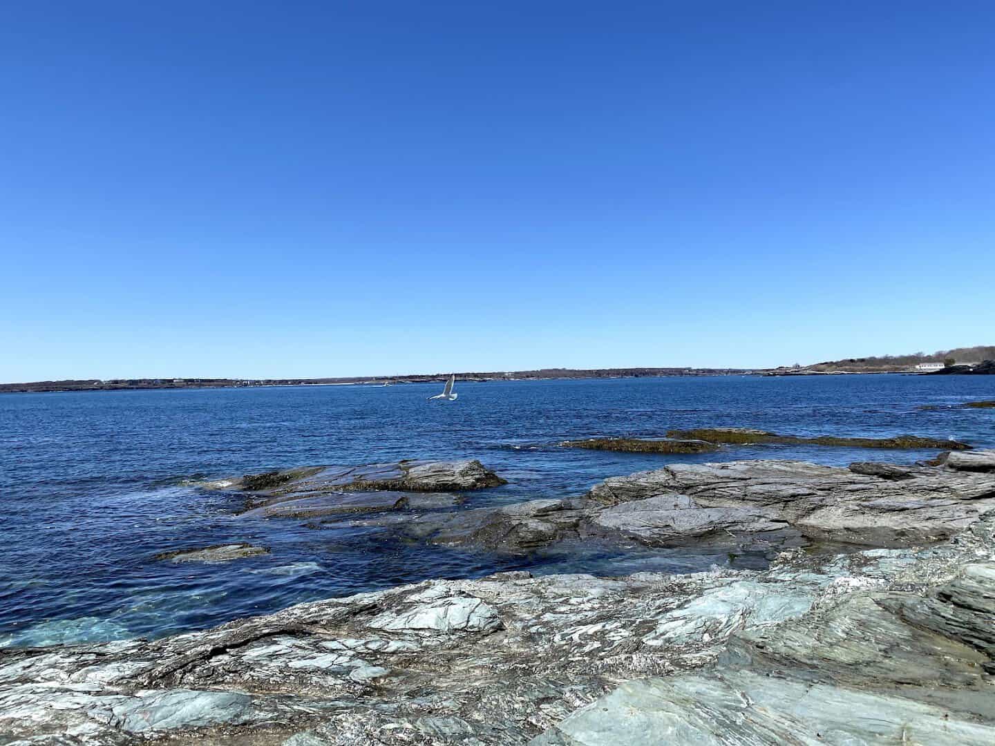 Rocky Atlantic shoreline along Ocean Drive at Brenton Point State Park, Newport, Rhode Island