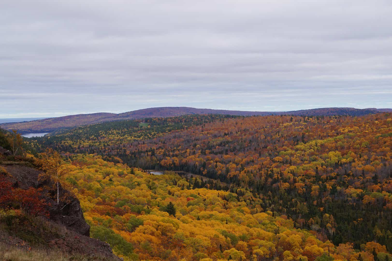 Blazing fall forest color seen from Brockway Mountain Drive near Copper Harbor, Michigan