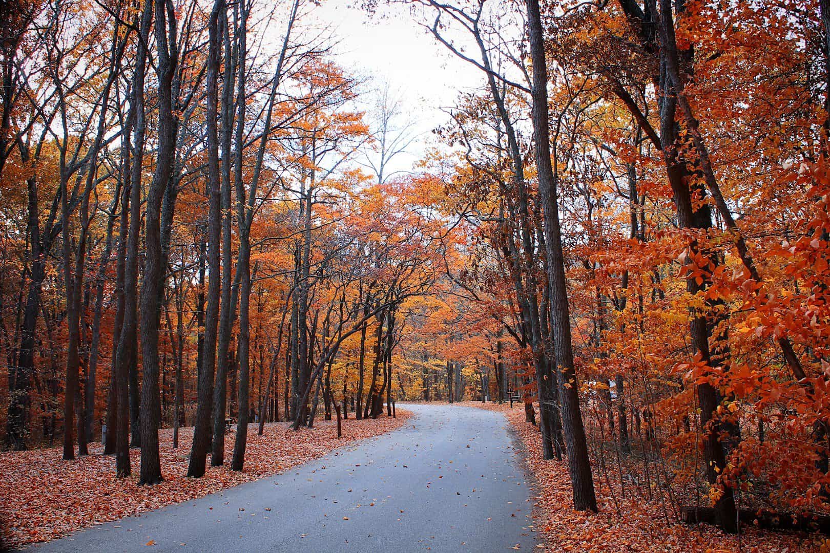 Fall foliage road through Brown County State Park near Nashville, Indiana