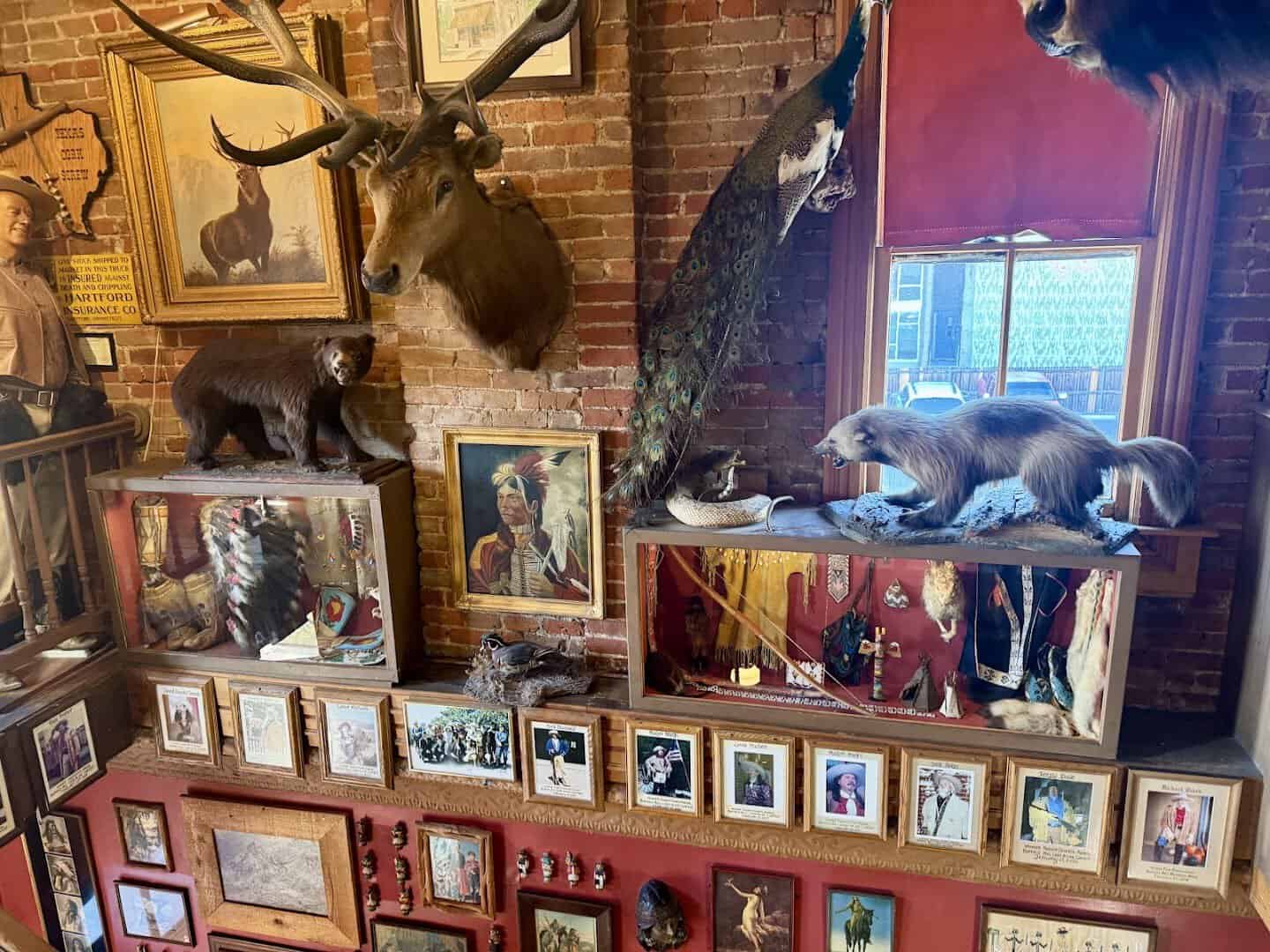 Taxidermy game mounts on the walls at Buckhorn Exchange in Denver, Colorado