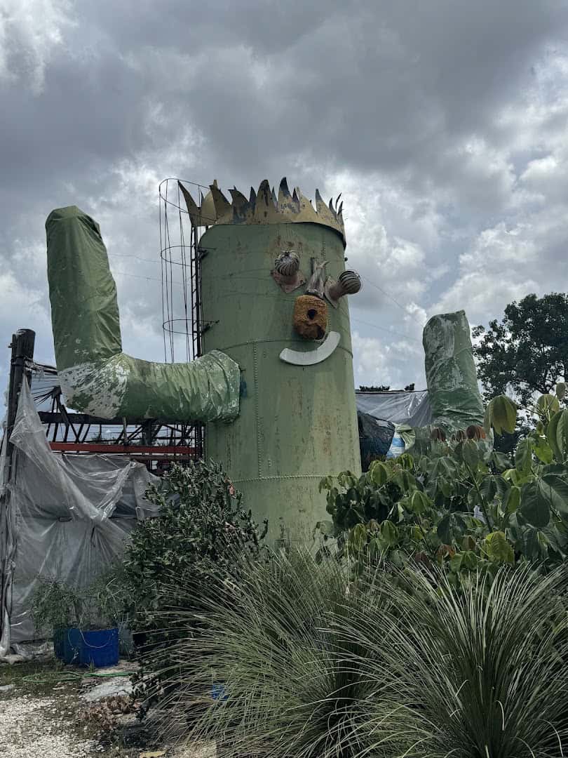 Giant crowned cactus shaped like a figure at The Cactus King in Texas
