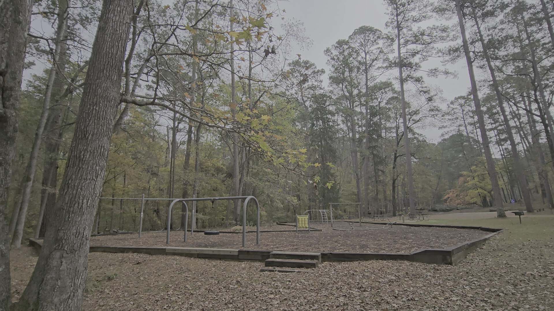 Playground clearing in the campground at Mission Tejas State Park