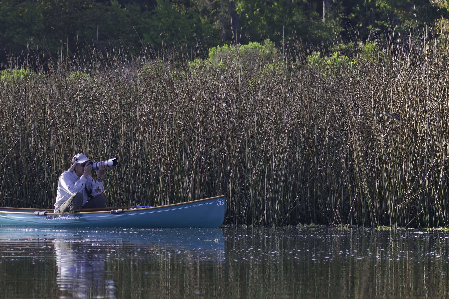 Canoe gliding past tall marsh reeds on the bayou at Armand Bayou Nature Center