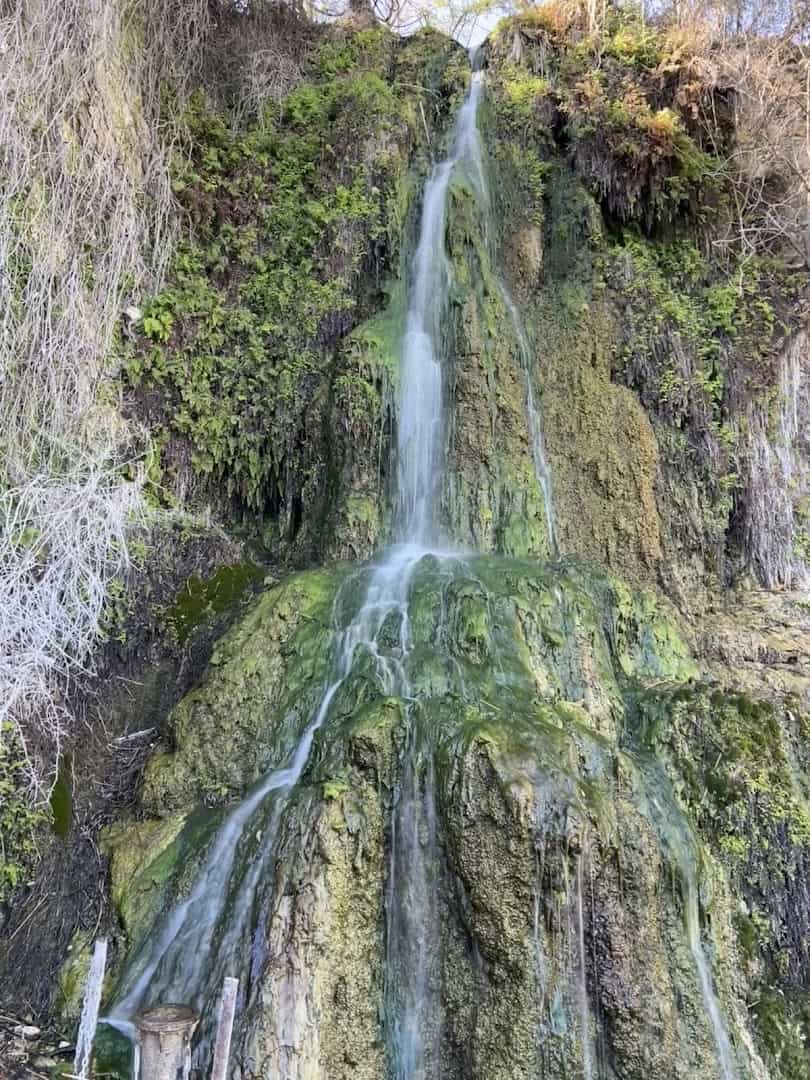 Water cascading down the mossy quarry cliff at the Japanese Tea Garden in San Antonio