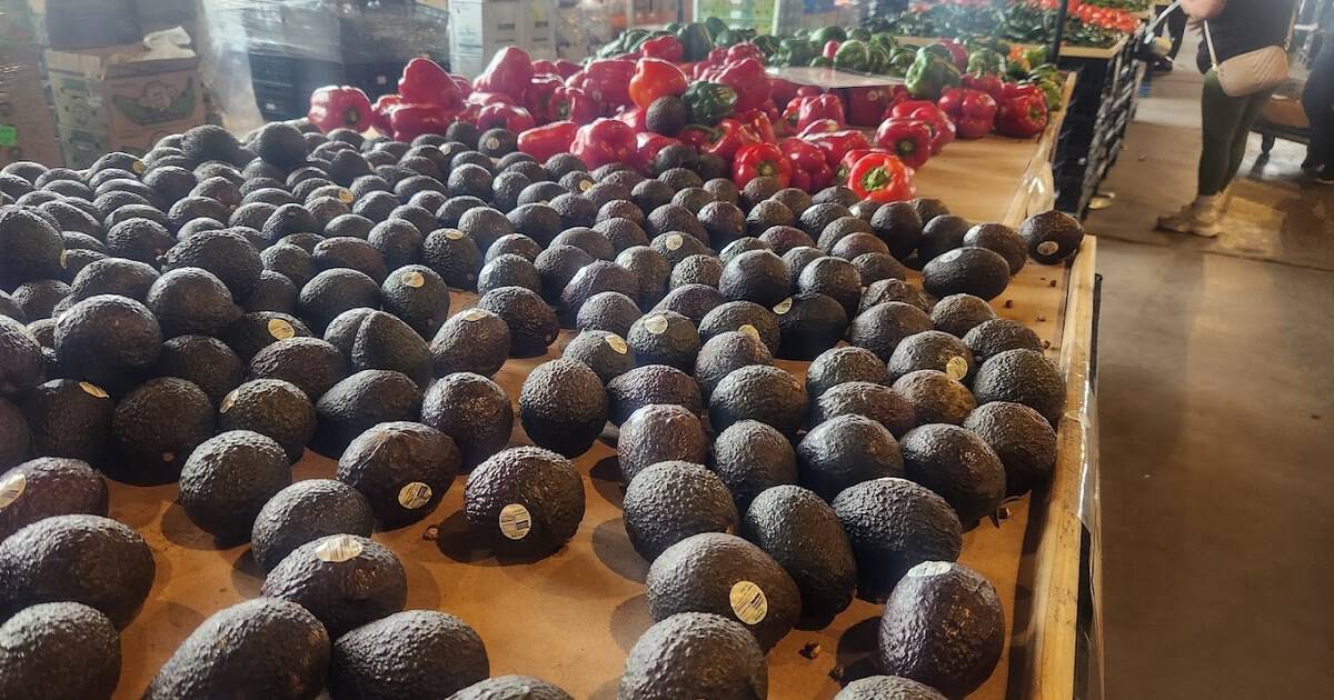 This Unassuming Texas Produce Market Is Where Locals Buy Avocados Four for a Dollar