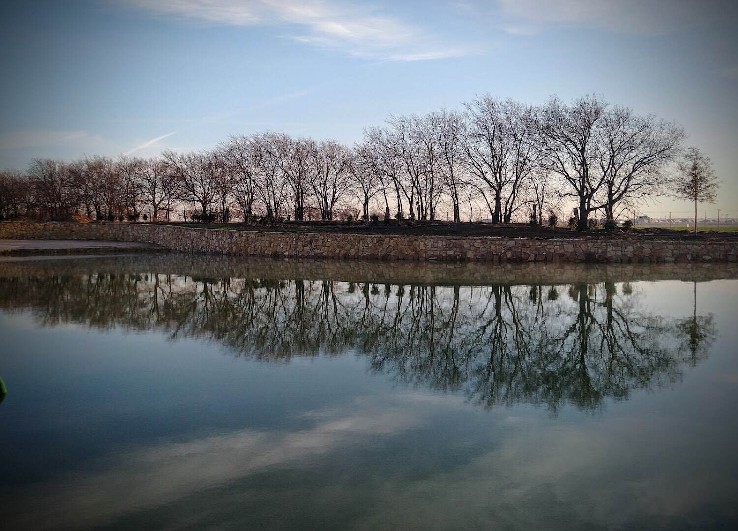 A tranquil community pond and trees in Celina, Texas