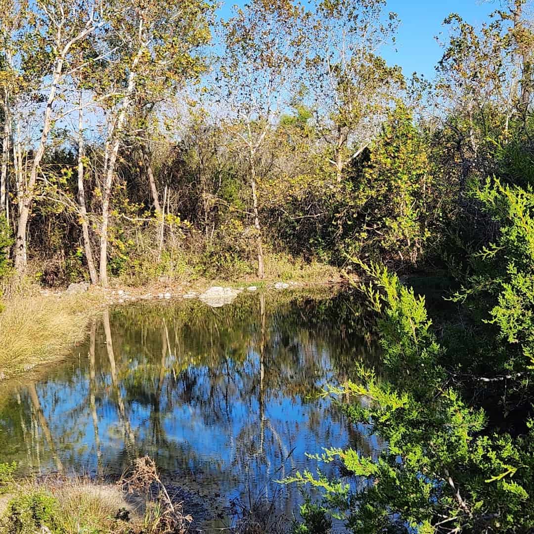 Clear river pool reflecting the sky along the trail at Chalk Ridge Falls Park near Belton, Texas
