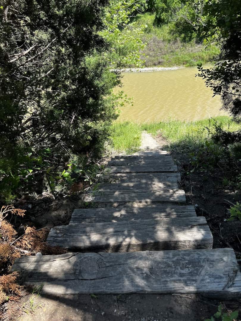 Stone step trail through the woods at Chalk Ridge Falls Park near Belton, Texas