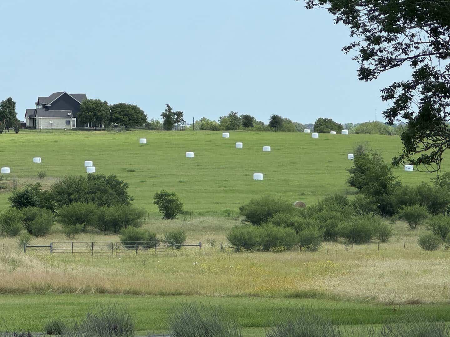 Rural countryside near Chappell Hill Lavender Farm in Brenham, Texas