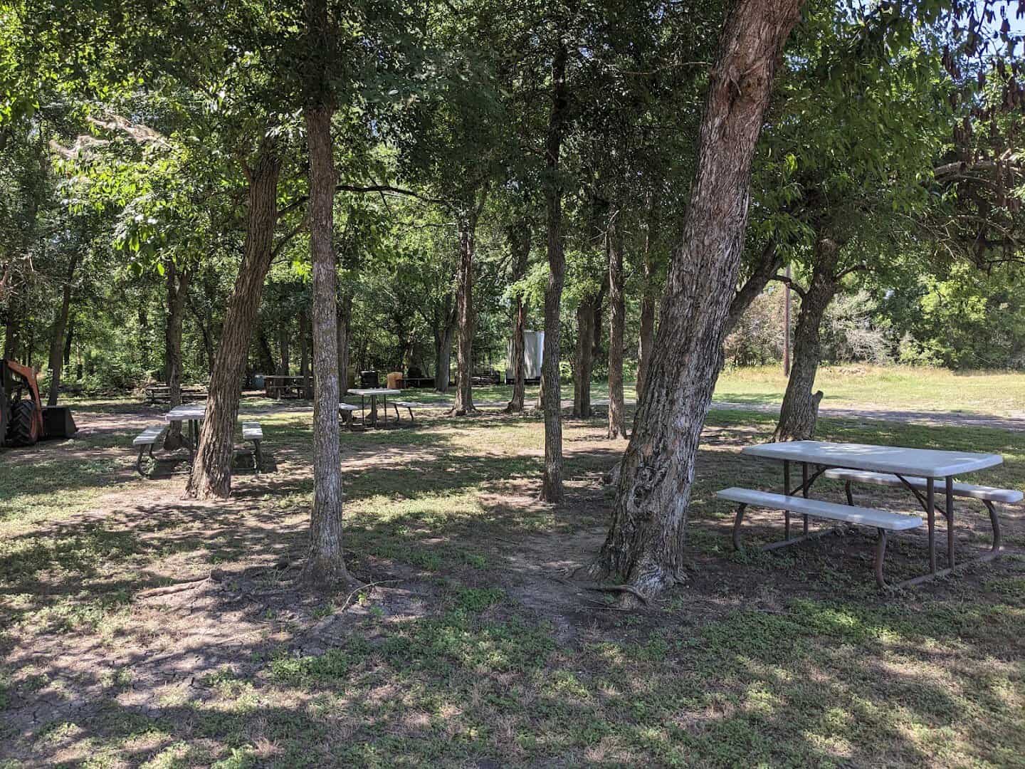 Shaded picnic area under the trees at Chappell Hill Lavender Farm in Brenham, Texas