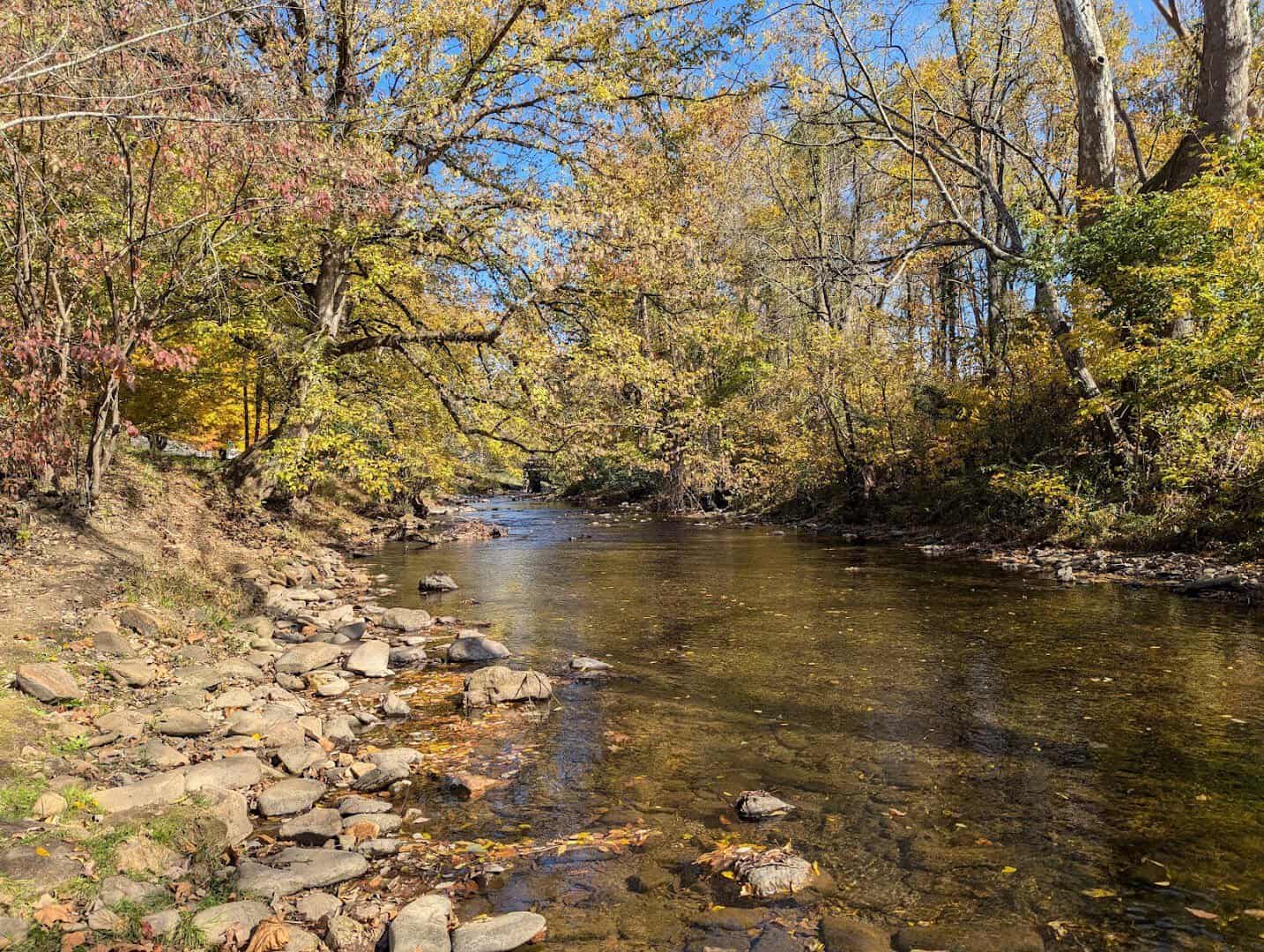 Creek lined with fall foliage along the Cherohala Skyway Tennessee