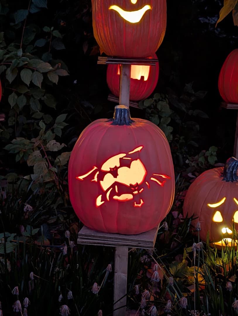 Illuminated night display glowing at the Cincinnati Zoo in Cincinnati, Ohio