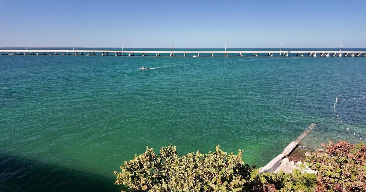 9 Coastal Highway Drives in the USA With Ocean Views