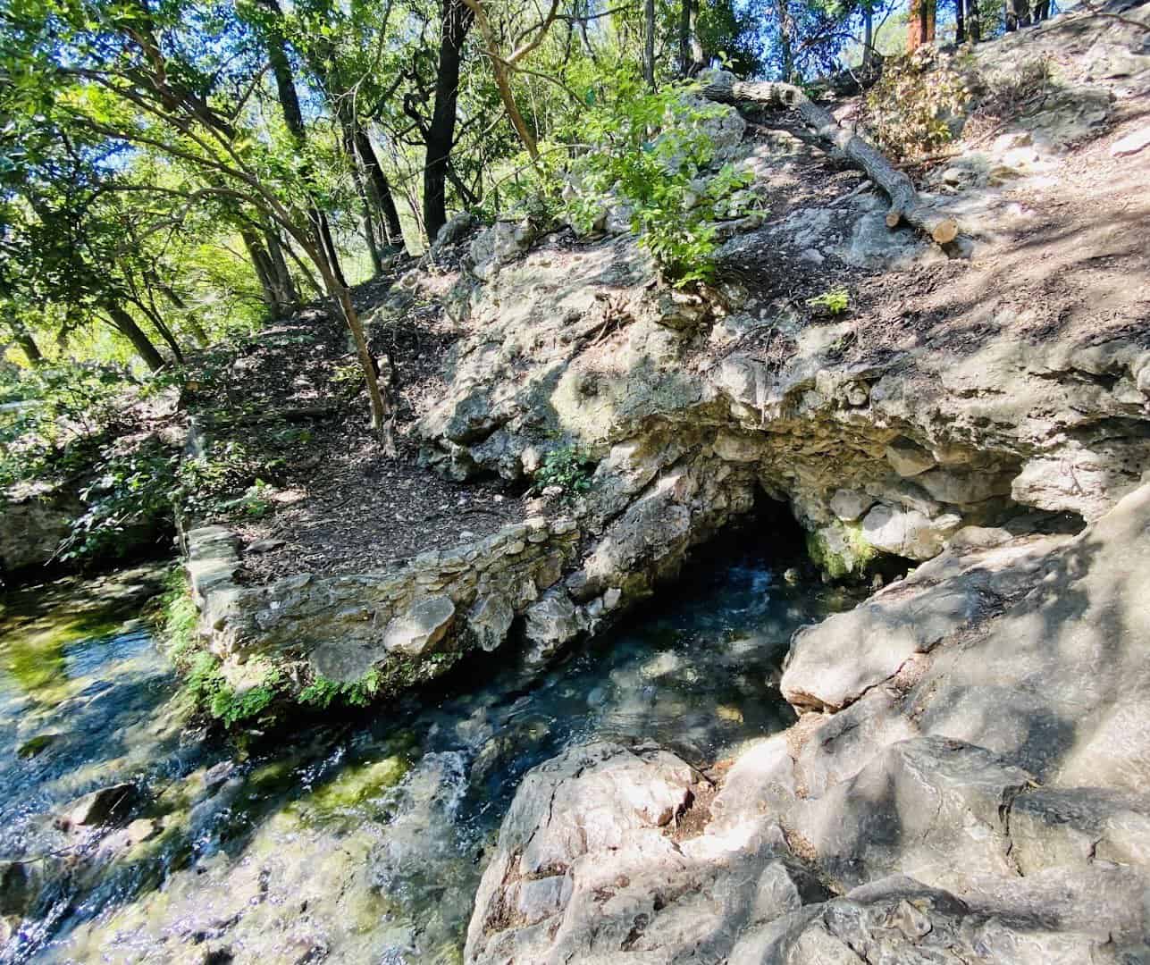 Spring water surfacing through limestone rock at Comal Springs in Landa Park, New Braunfels