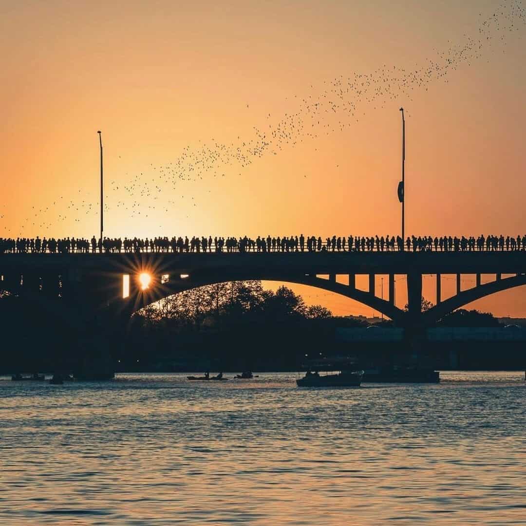 Column of Mexican free-tailed bats streaming from Congress Avenue Bridge at sunset, Austin Texas