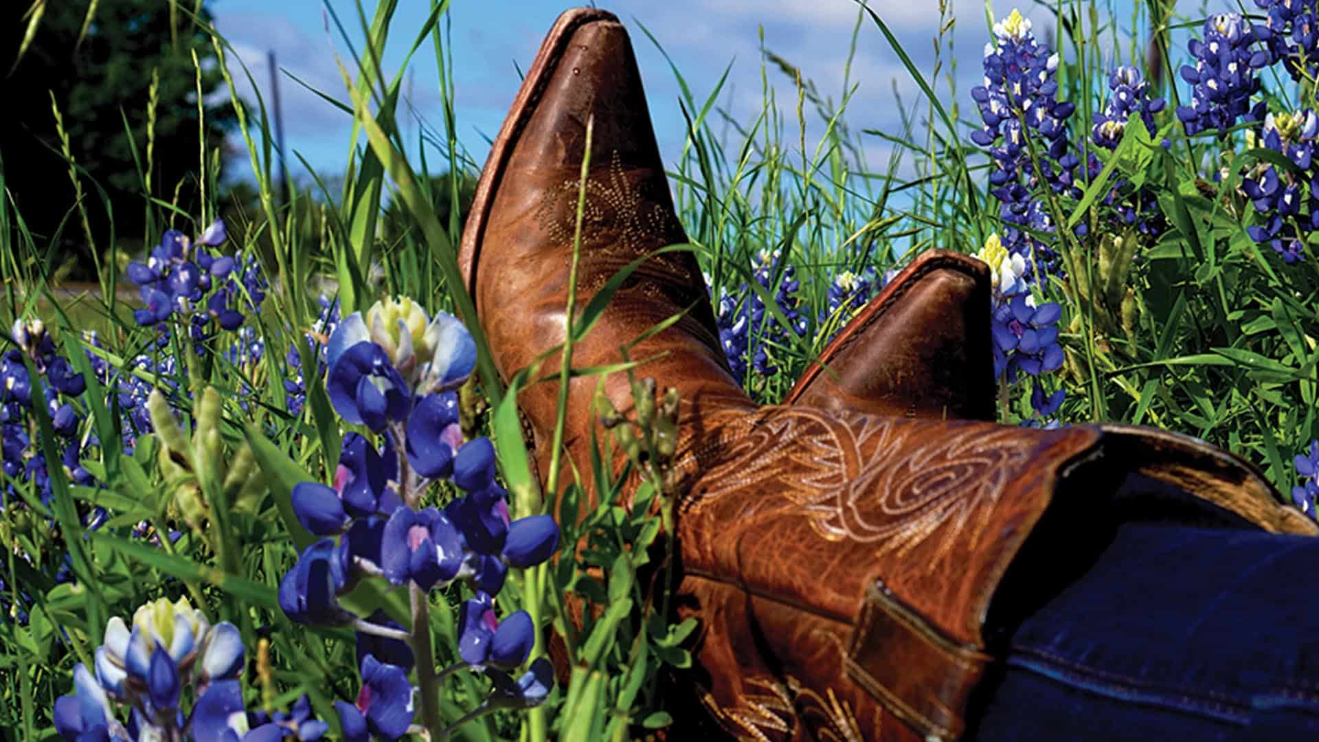 Cowboy boots resting in a field of bluebonnets near Ennis Texas