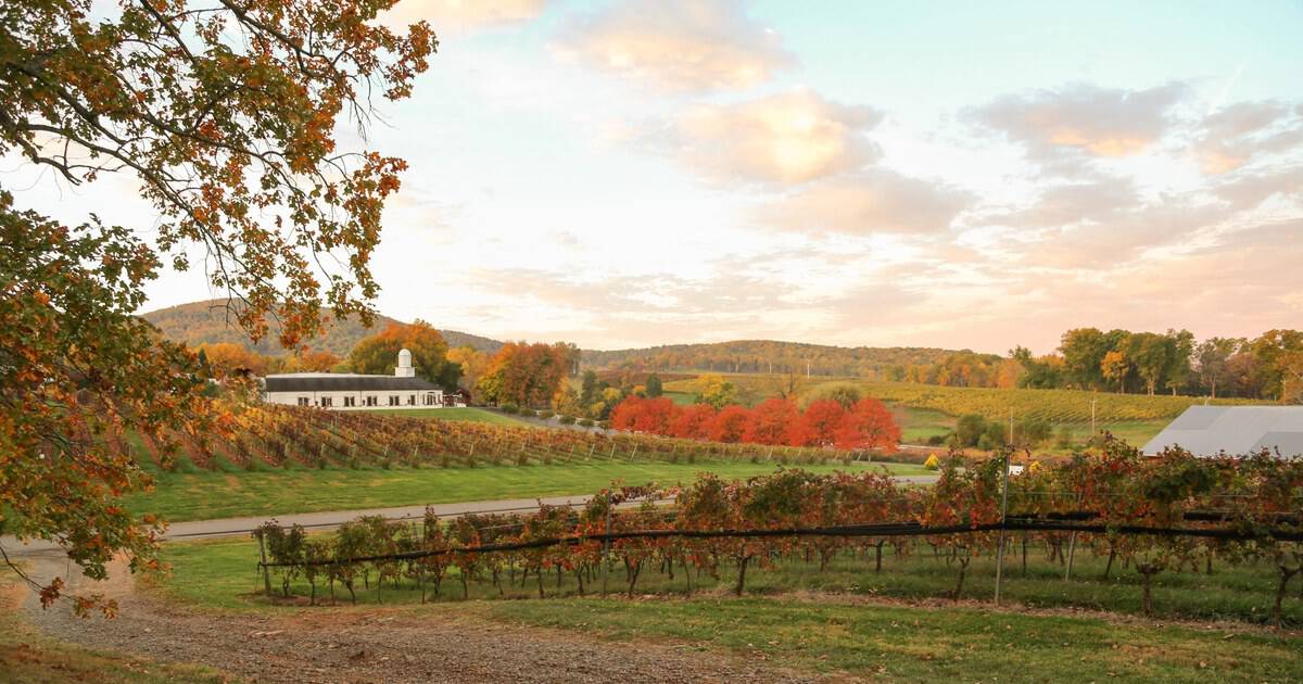 12 Charming Wineries Across America for a Cozy Fall Weekend
