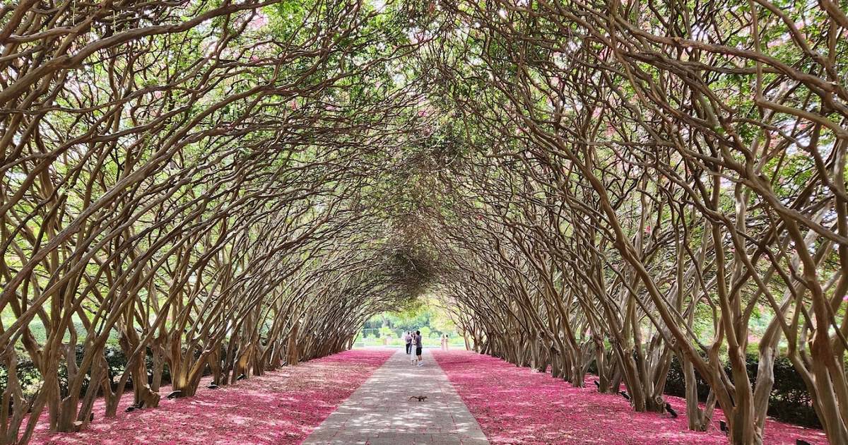 This Lush Texas Garden Was Named One of the Most Beautiful in the World