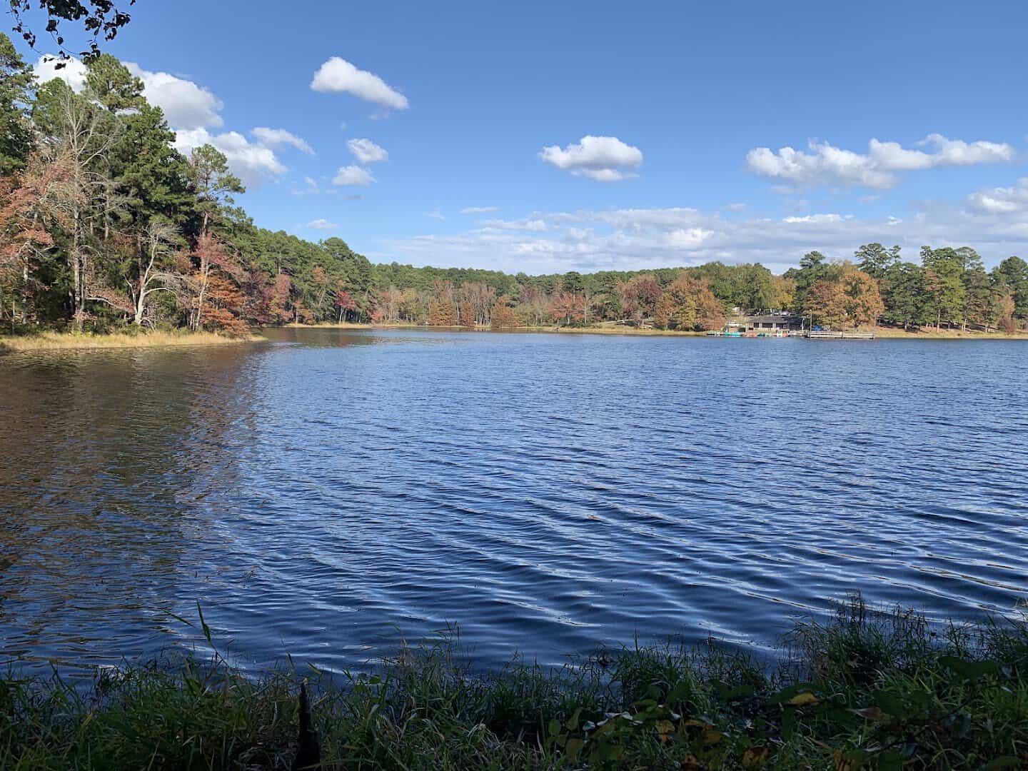 Calm pine-ringed lake under blue sky at Daingerfield State Park, Texas