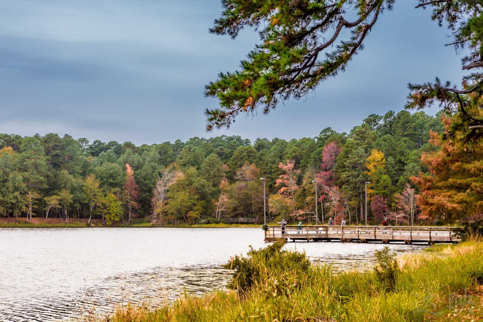Fishing pier reaching over Little Pine Lake at Daingerfield State Park, Texas