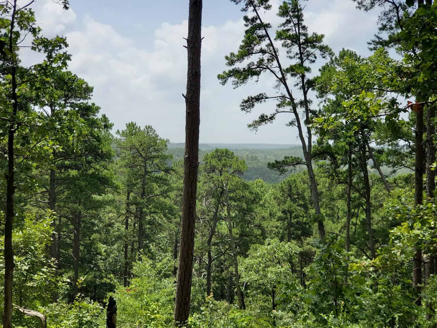 Long view over the treetops from the Mountain View Trail at Daingerfield State Park, Texas