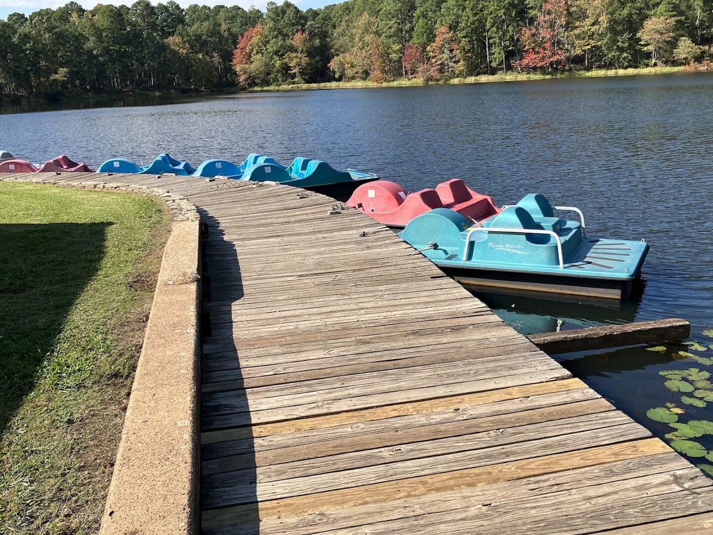 Colorful paddle boats lined up at the dock on Little Pine Lake, Daingerfield State Park, Texas